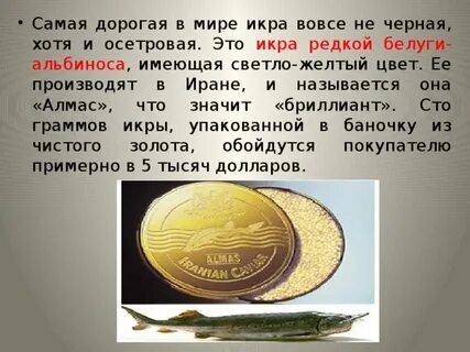 И мир в какую цену