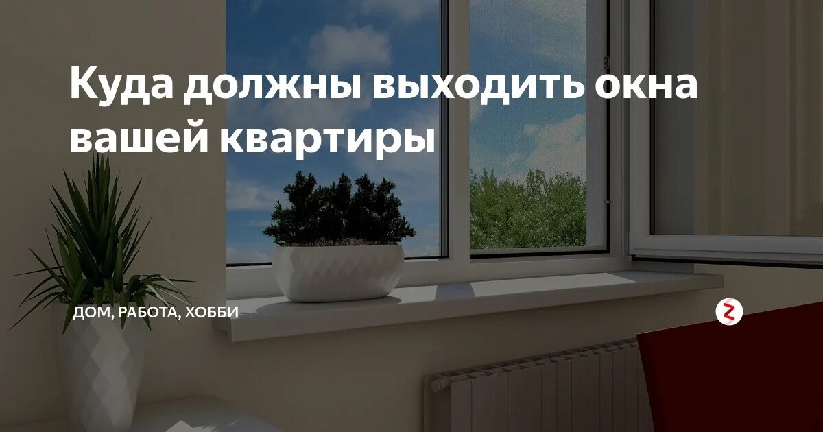 Куда должны выходить окна. Куда выходят окна квартиры. Куда должны выходить окна квартиры. Окна выходят на Юг. Почему выходят в окно