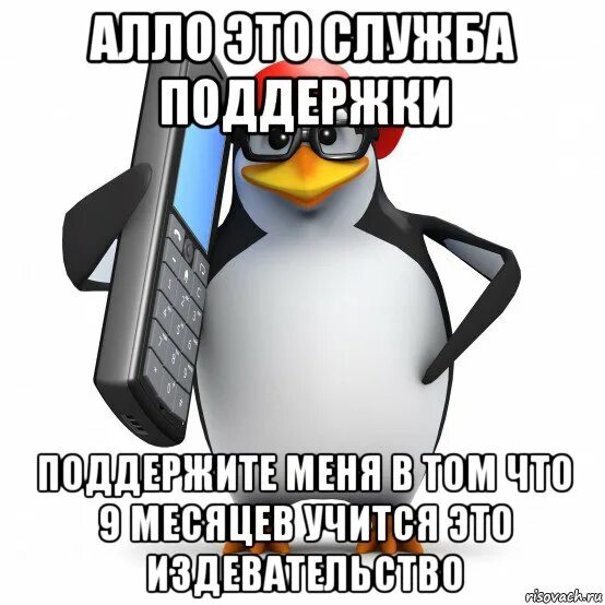 Пингвины мем видео. Алло это мем с пингвином. мем пингвин звонит. алло это раковка. алло это доставка.
