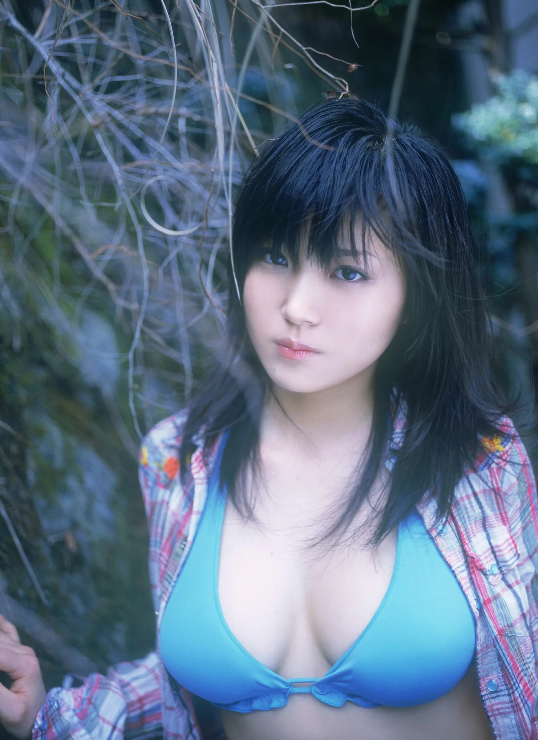Ai yi yi