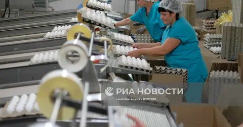 Птицефабрика акашева
