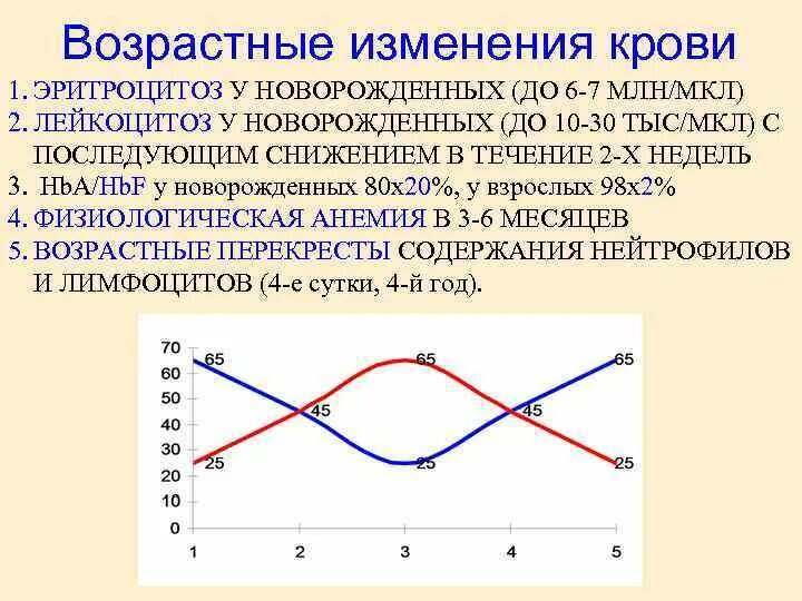 Возрастные изменения крови. Возрастные изменения крови кратко. Смена крови график.