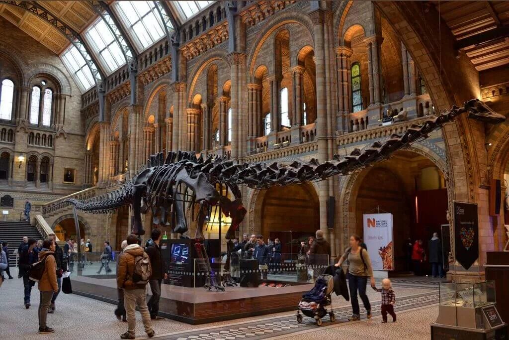 Какие музеи есть в лондоне. Музей естествознания (natural History Museum). Натурал хистори музей Лондон. Музей естествознания в Лондоне в Лондоне. Музей natural History в Лондоне.