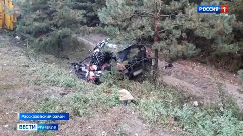 Тв волк происшествия