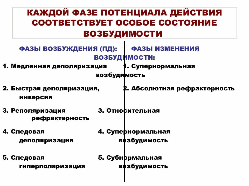 Отличается повышенной возбудимостью. Повышенная возбудимость нервной системы. Повышается нервная возбудимость. Супернормальная возбудимость. Повышение возбудимости нервной системы.