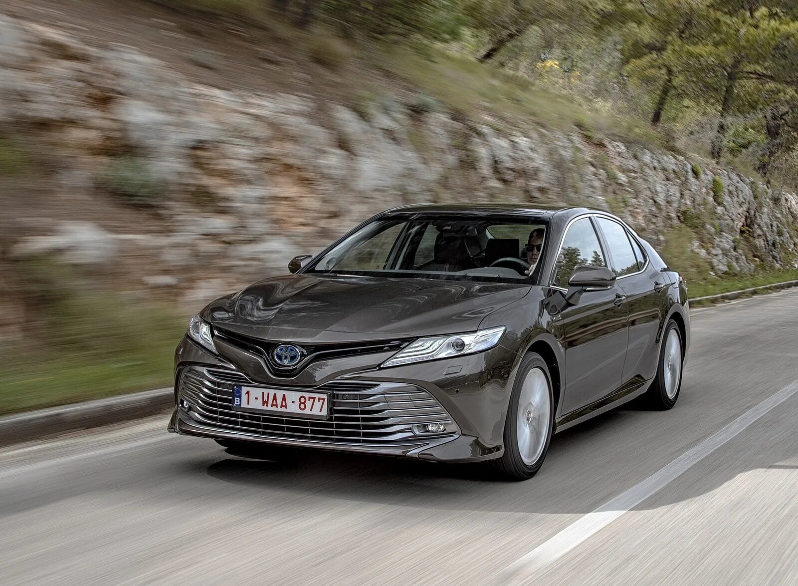 Toyota camry 2019 белая. Toyota camry v6 2019. тойота камри 2018-2019. Toyota camry xle 2019. тойота камри 2019 года выпуска.