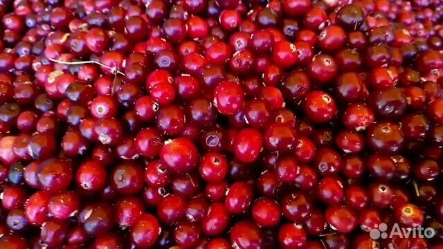 Mulberries Food, Serbian recipes, Middle eastern recipes