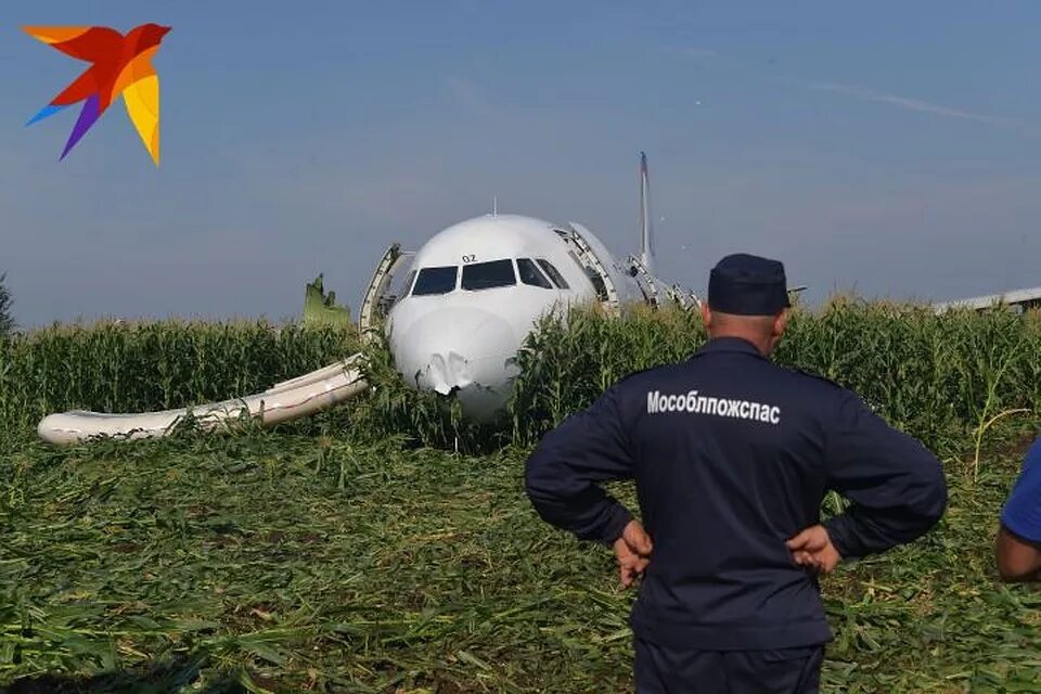 Дети сажают самолет. А321 Уральские авиалинии кукурузное поле.