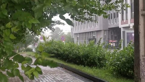 В прохладный июльский день