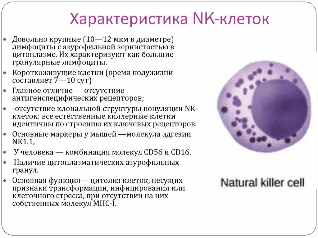 Симптомы трансформации