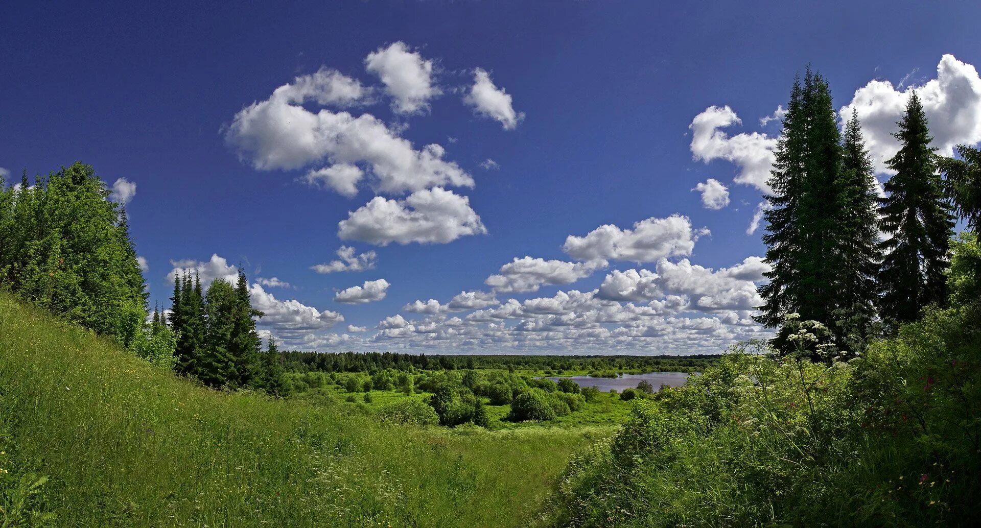 Русская природа. Природа нашей Родины. Красота родной земли. Моя Россия природа. Картинка родная природа