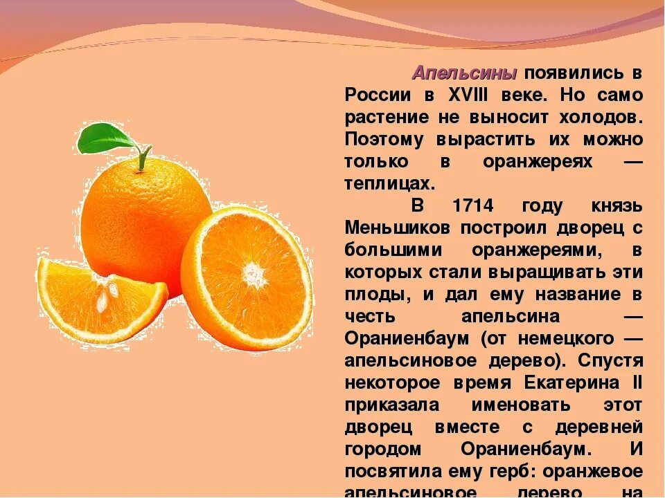 Сообщение про апельсин. Апельсин доклад. Описание апельсина. Рассказ про апельсин.