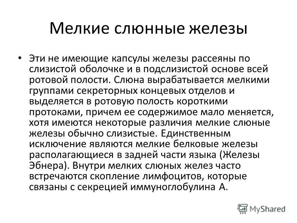 мелкие железы. слюнные железы биология 9 класс. малые слюнные железы анатомия строение. слюнные железы располагаются. строение крупных слюнных желез.