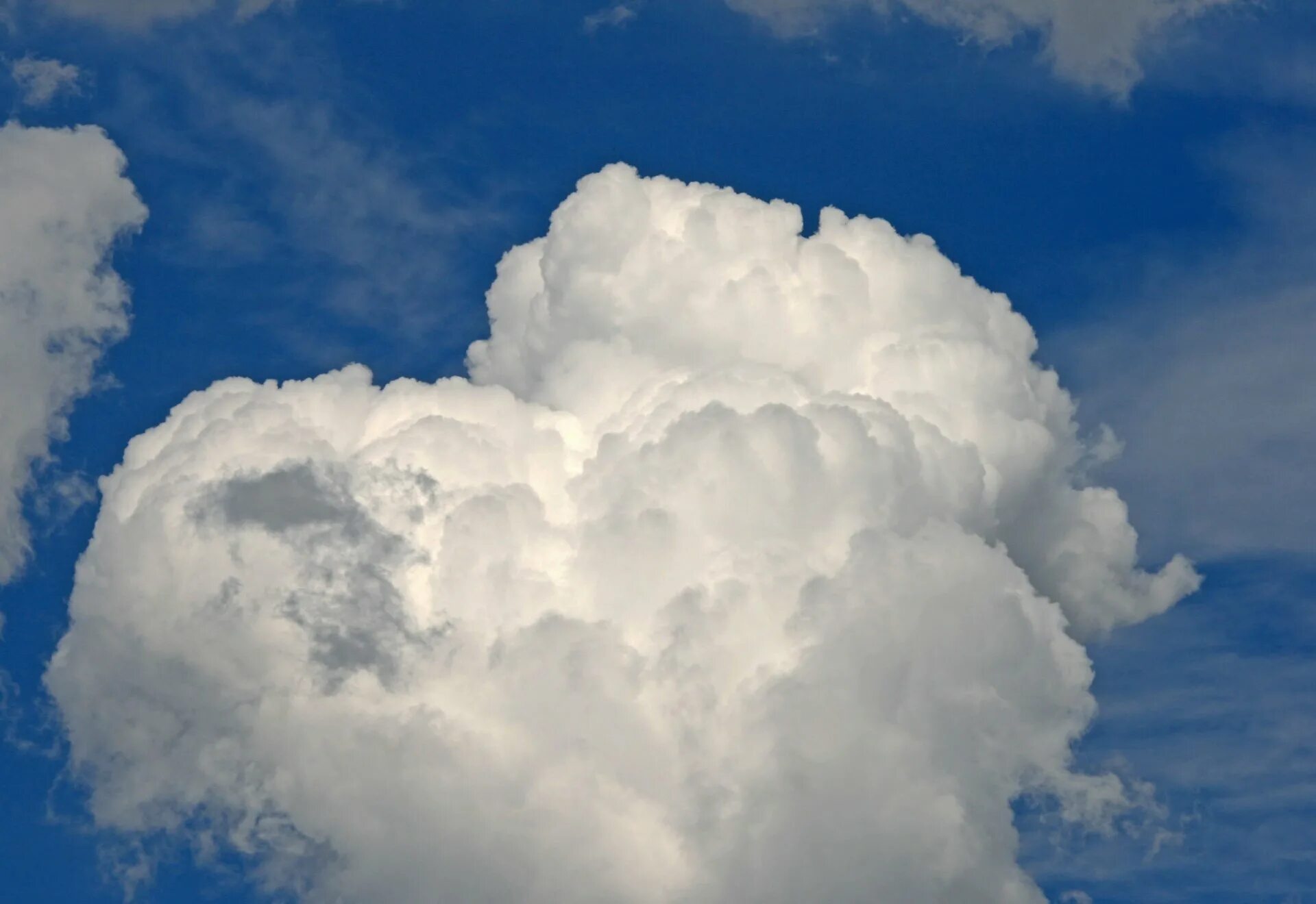 Облако картинка. Облако. Разные облака. Облака форма. Кучевые облака в виде животных.
