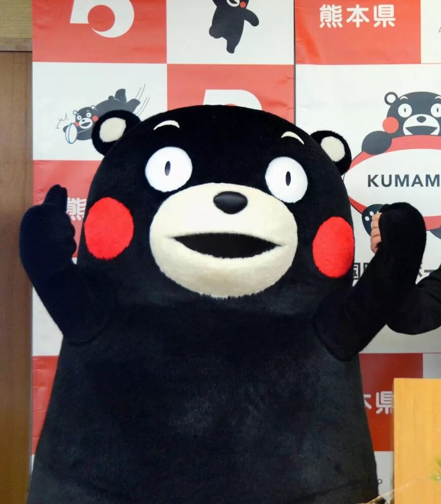 Японский медведь Кумамон. Префектура Кумамото медведь. Кумамото Маскот. Кумамон в Кумамото.