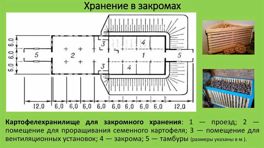 В овощехранилище было 1280 ц моркови когда. Закрома для хранения картофеля. Схема хранилища картофеля. Овощехранилище схема. Картофелехранилище схема.