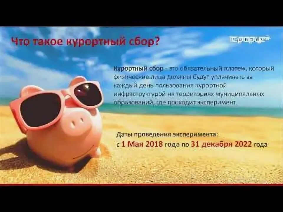 Курортный сбор размеры. Туристический налог. Отчет курортный сбор 2024. Отчет курортный сбор 2024. Отчет курортный сбор 2024.