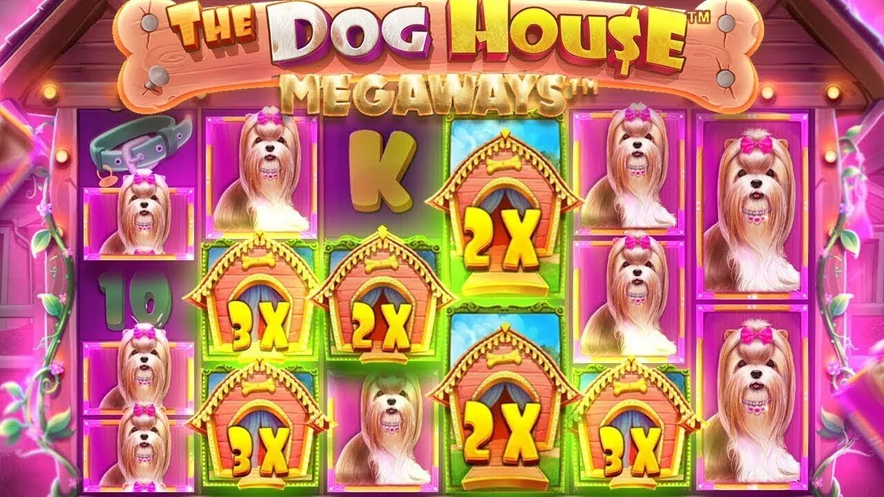 Dog house megaways догхаус. Слот House megaways. Занос в the Dog House. Dog House слот. Бонуска в дог Хаус.