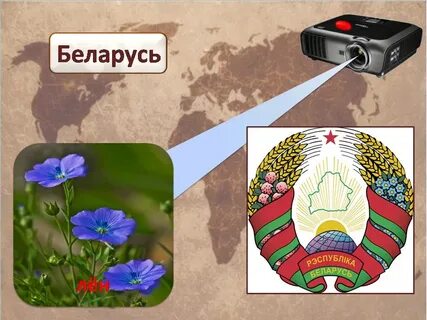 Растения в государственной символике проект