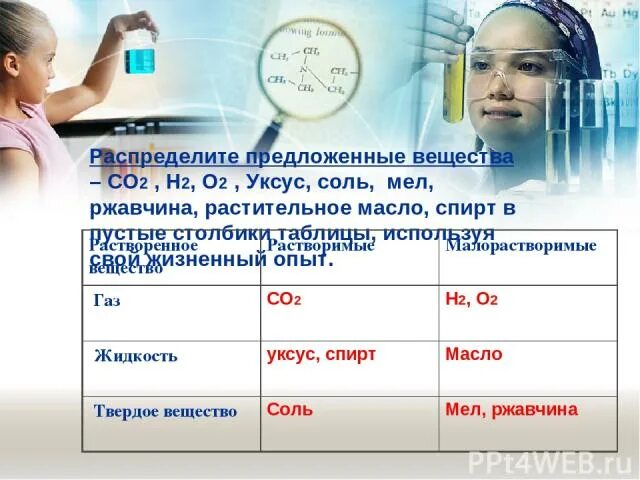 Распределите предложенные основания на две группы