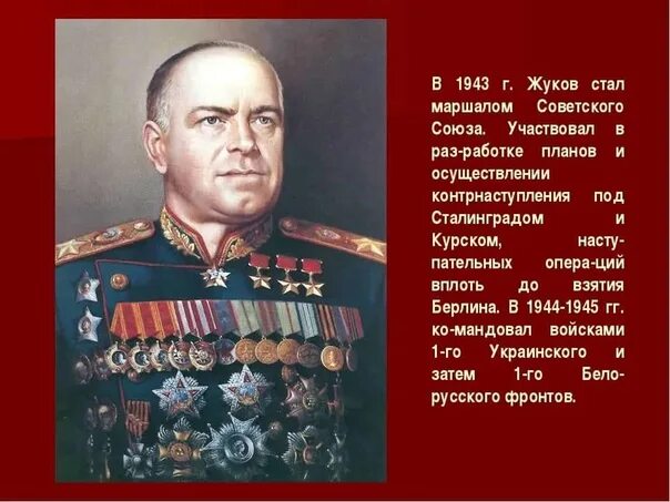 Г К Жуков краткая биография.