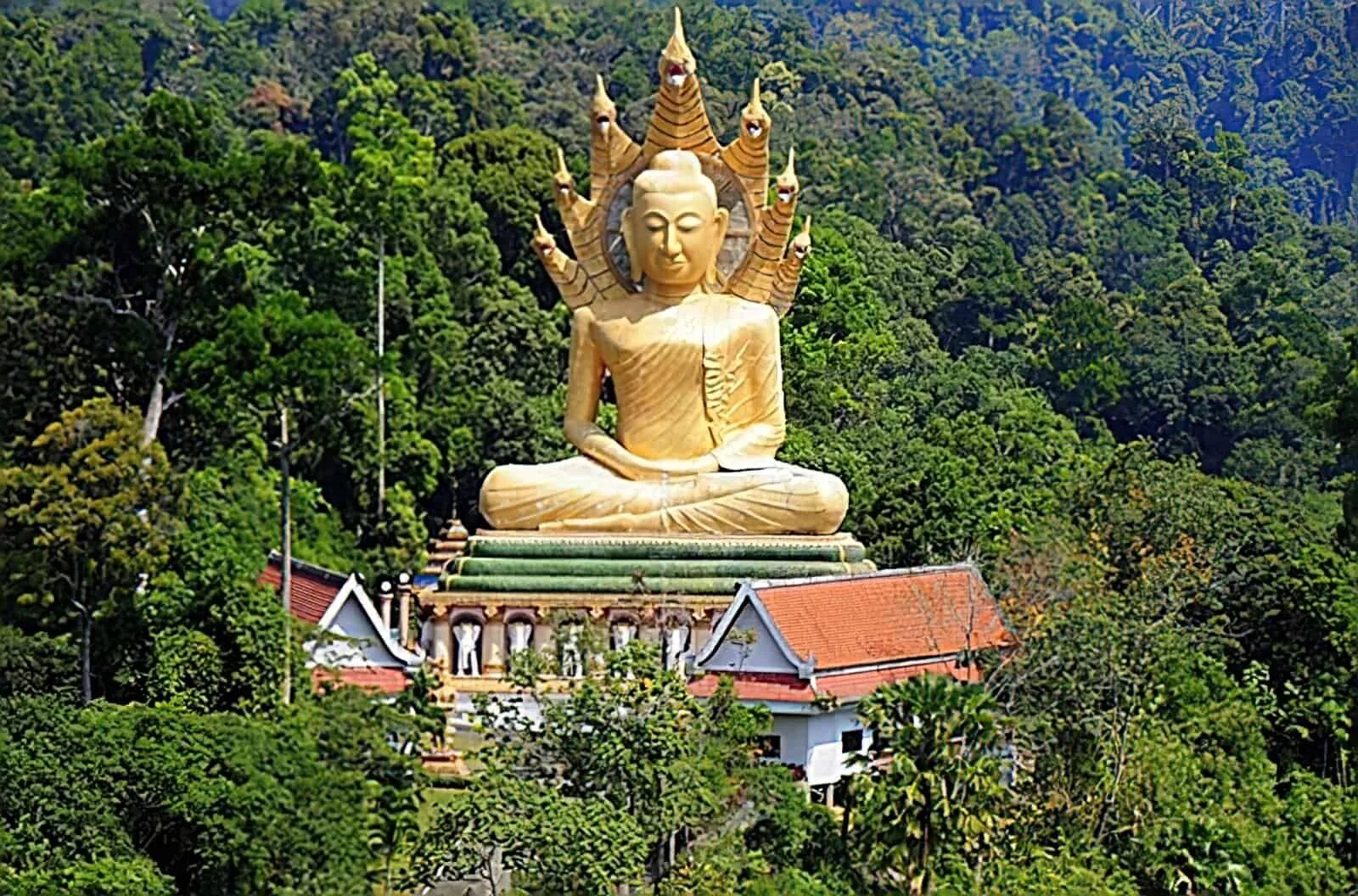 Храмы краби. Храм ват Банг Рианг. Статуя Будды в Краби. Храм в провинции Краби.