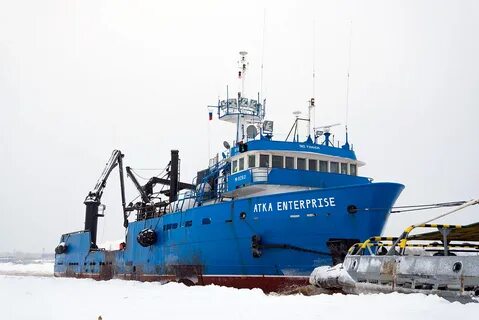 Атка архангельск