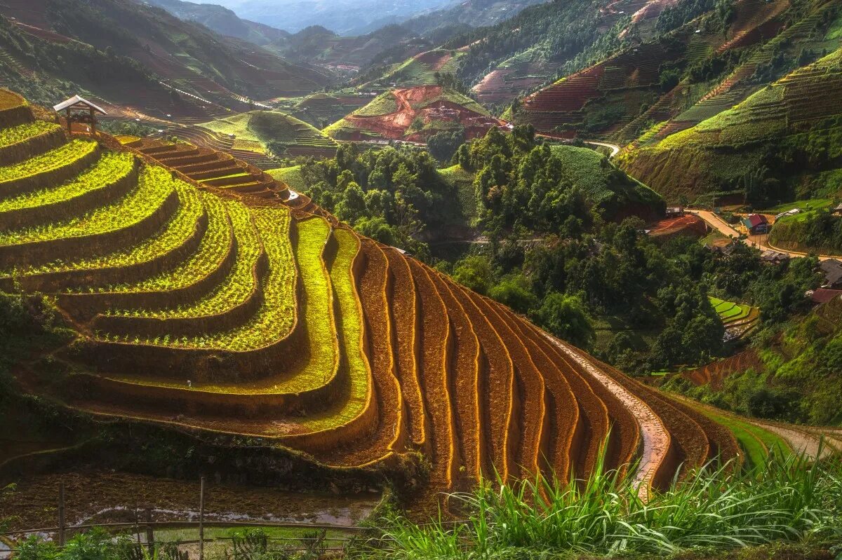 Поля террасы. Террасированное земледелие Вьетнам. Террасовое земледелие в Китае. Террасирование склонов Юго Восточная Азия рисовые поля. Террасирование склонов Китай.