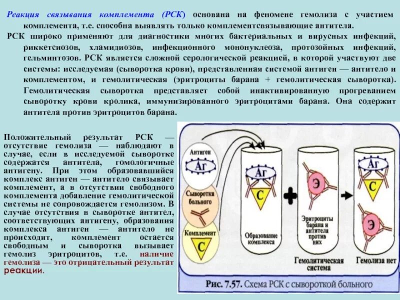 Рск это. Реакция связывания комплемента схема. схема реакции связывания комплемента (рск). реакция рск микробиология. реакция свзяывания кмолимента.