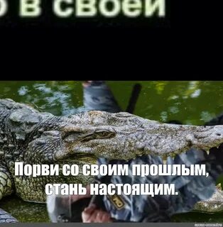 Крокодил крокожу и буду крокодить