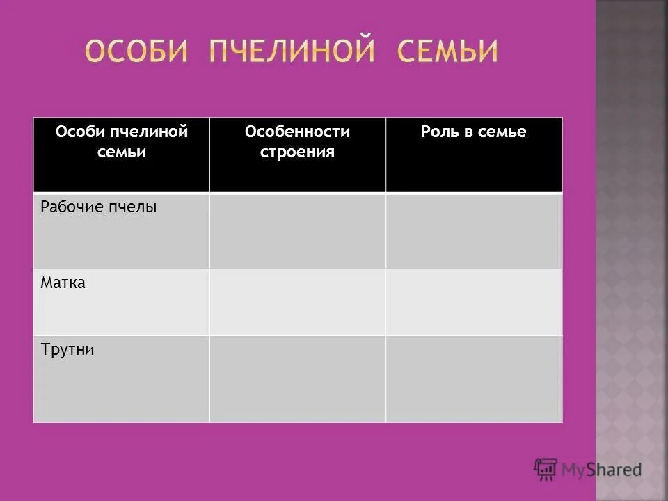 таблица характеристика пчел. состав пчелиной семьи таблица. характеристика особей пчелиной семьи. характеристика матки пчелы таблица. болезни пчел таблица.