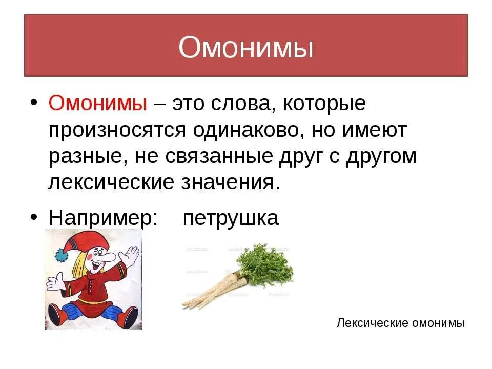 Слова с несколькими значениями. Омонимы правило. Слова омонимы. Что такое омонимы в русском языке. Офонимв.