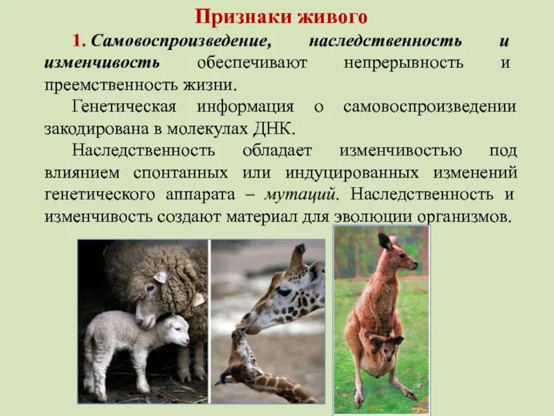 Какой из признаков меньше всего обладает изменчивостью