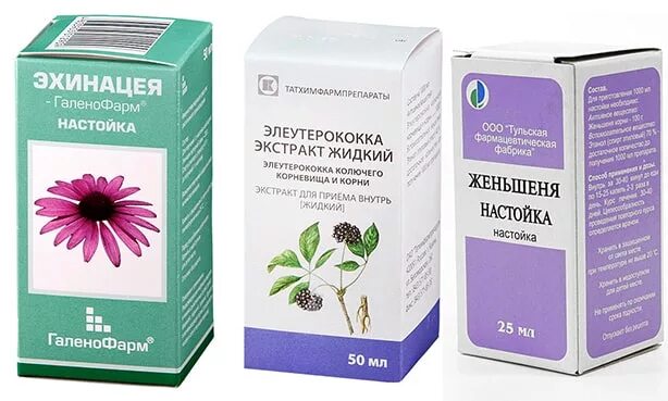 Левзея женьшень родиола. Настойка женьшеня и элеутерококка. Женьшень элеутерококк. Элеутерококк адаптоген. Адаптогены элеутерококк.