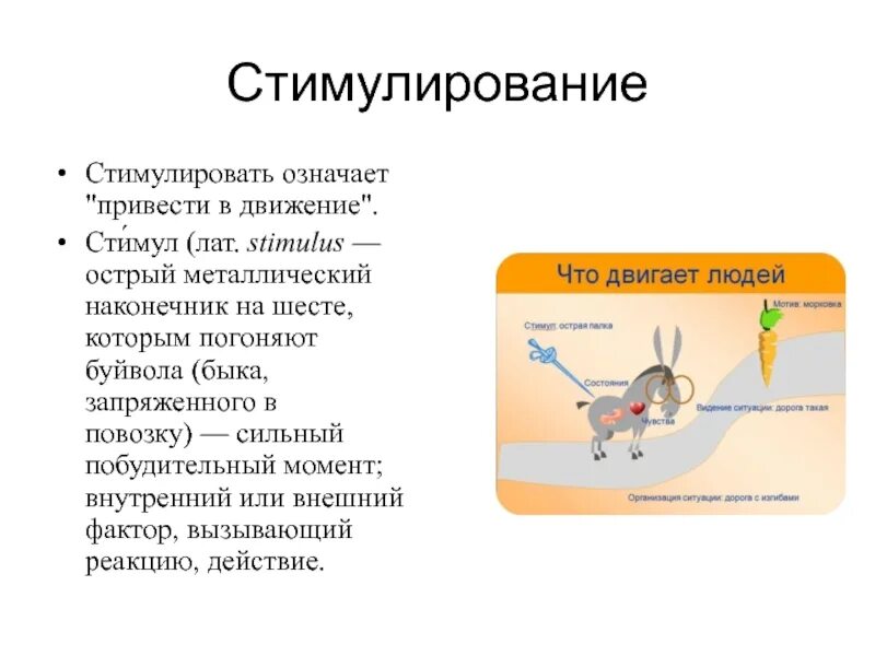 Что означает стимуляция. Что означает стимуляция