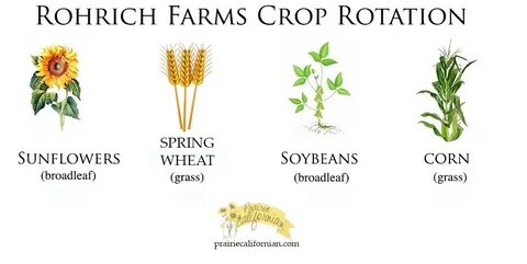 Crop перевод