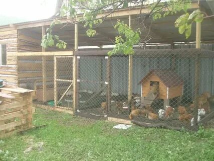 Крытый загон для животных