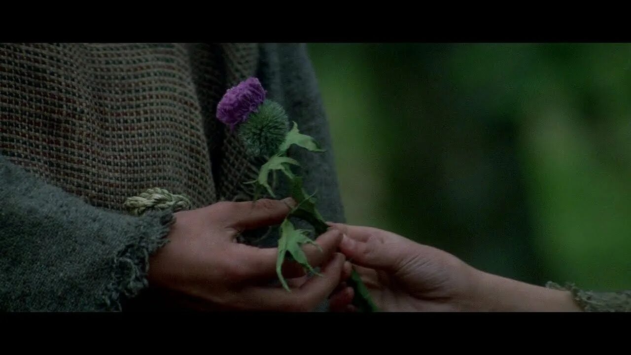 Braveheart a gift of a thistle. Braveheart джеймс хорнер. A gift of a thistle from braveheart ноты. A gift of a thistle. A gift of a thistle james horner откуда.