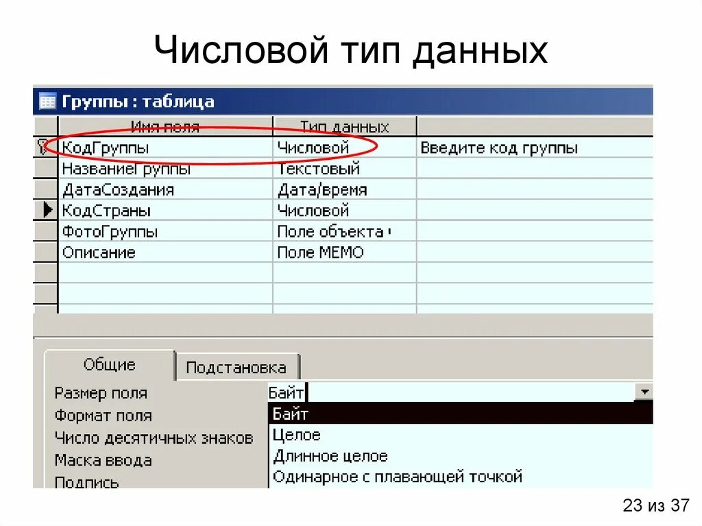 Данные фотоснимка. Числовой Тип данных в базе данных. Типы данных числовой в БД access. Числовой и логический Тип данных в базе данных. Числовой Тип в БД.