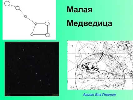 Атлас определитель большой медведицы