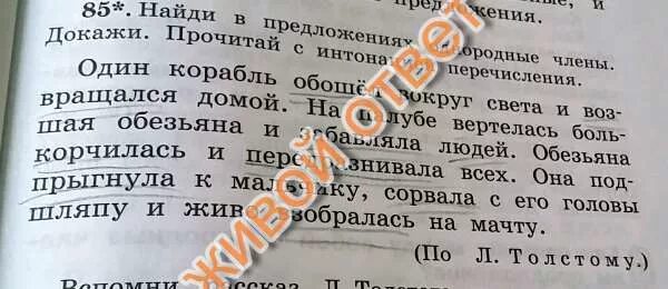 Один корабль обошел вокруг света и возвращался. Один корабль обошел вокруг света и возвращался