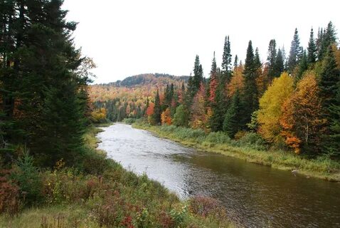 Upper river