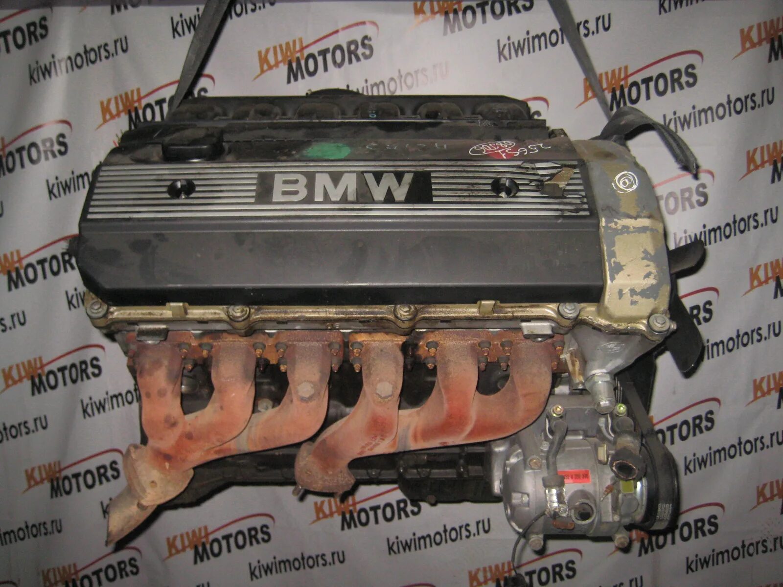 Двигатель б 50. Мотор m50b25. М50 двигатель БМВ. Двигатель BMW m50b25 контрактный. 256s1 двигатель.