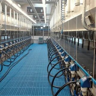 Доильная установка параллель