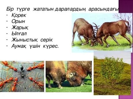 Татьяна Доронина порно