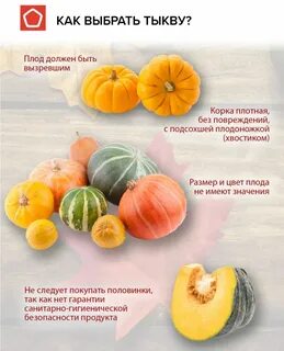 Сколько нужно варить тыкву до готовности