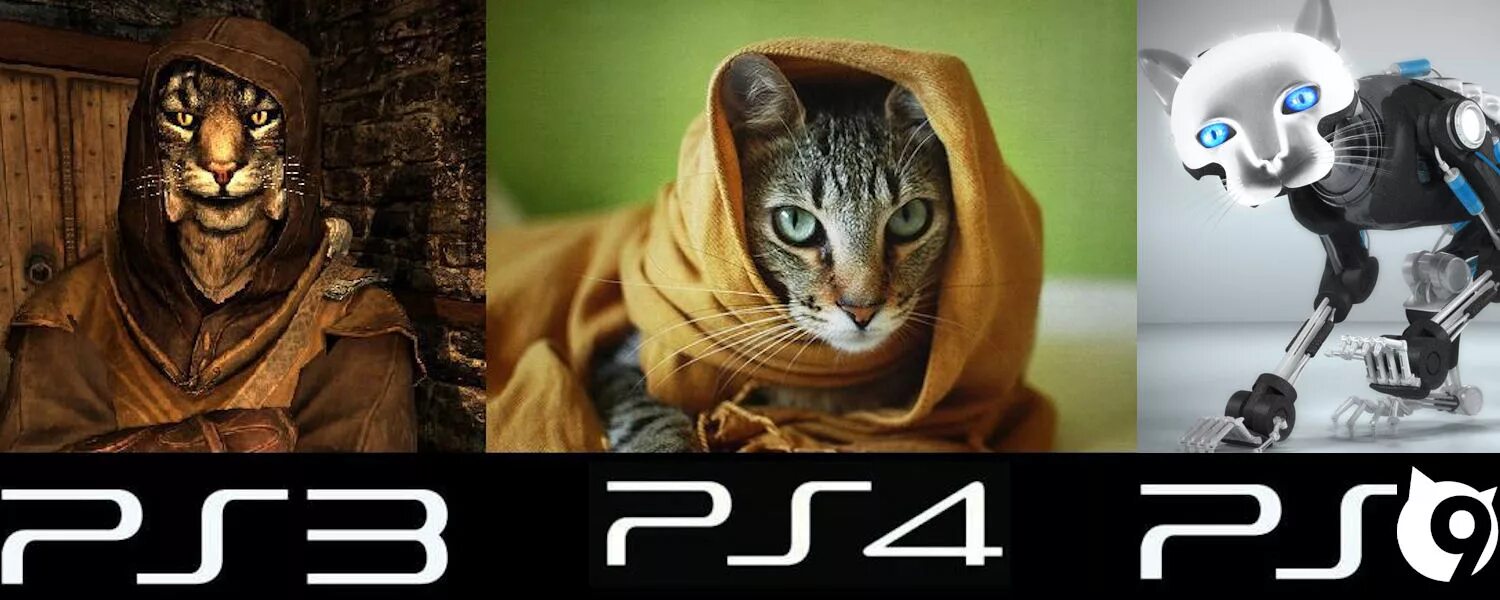 Мем 4 кота. Playstation 4 прикол. игра на пс про кота. плейстейшен котик. мемы playstation игры.