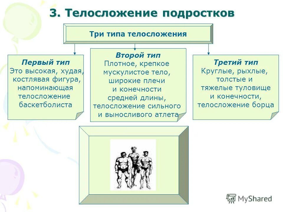 Физическое изменение подростков. Тип сложения подростка. Типы Конституции подростков. Три типа. Тип телосложения у баскетболистов.