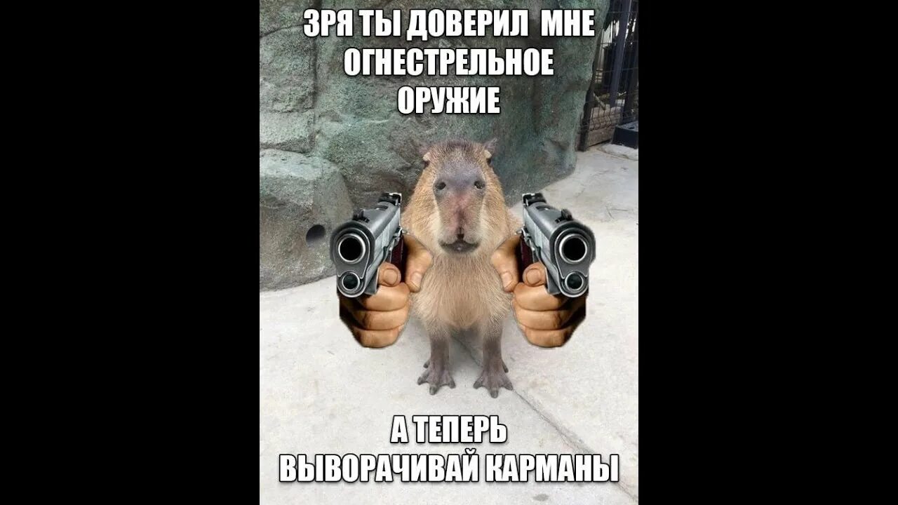 Это точно было все зря. Это точно было все зря