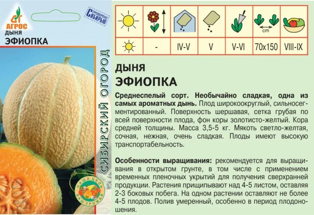 Вес 1 дыни. Вес 1 дыни